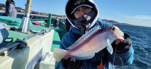 アマダイ(アカアマダイ)