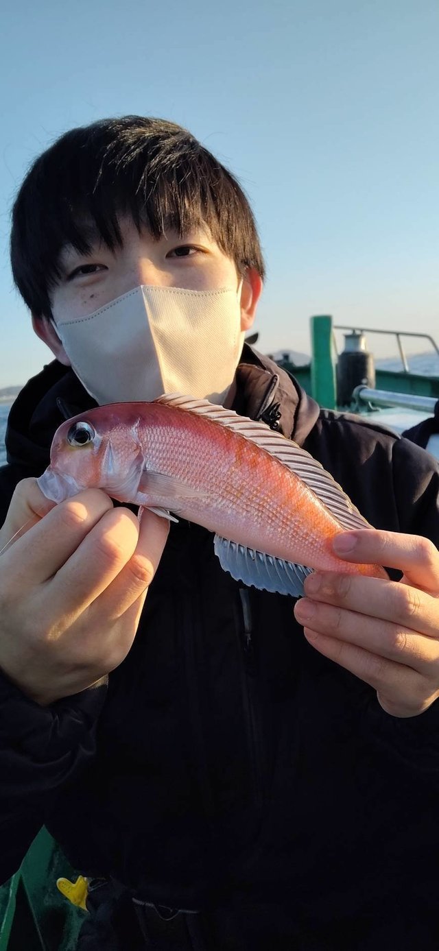 アマダイ(アカアマダイ)