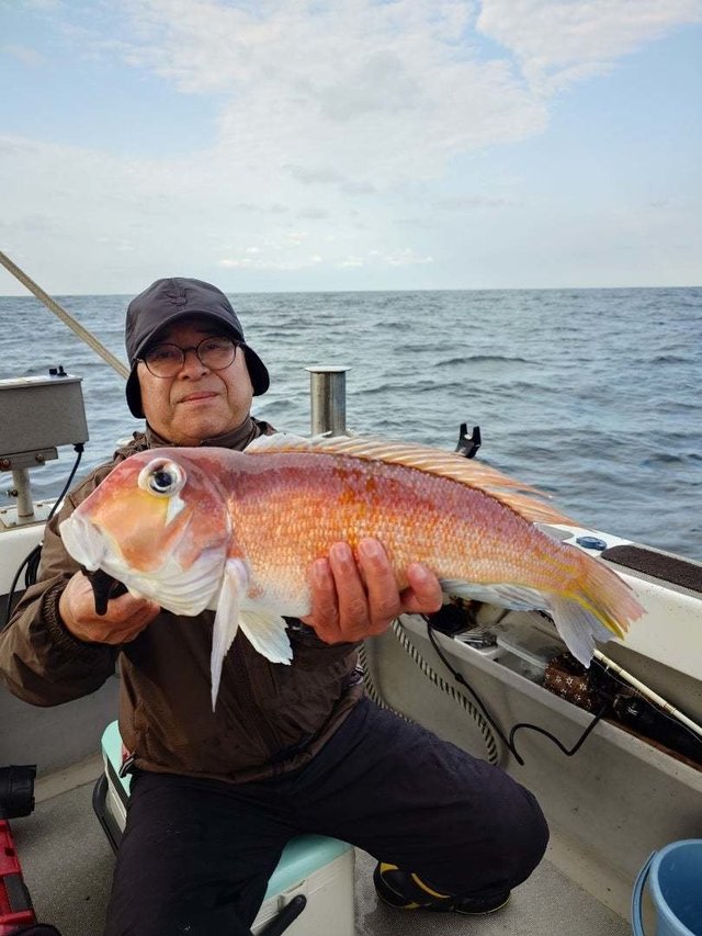 アマダイ(アカアマダイ)