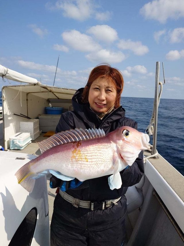 アマダイ(アカアマダイ)