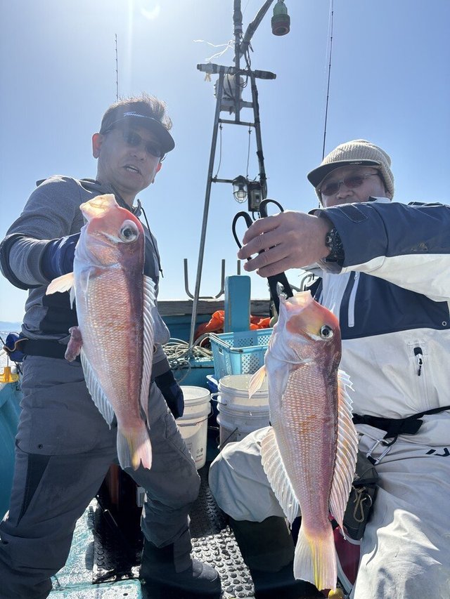 アマダイ(アカアマダイ)