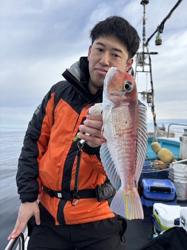 アマダイ(アカアマダイ)