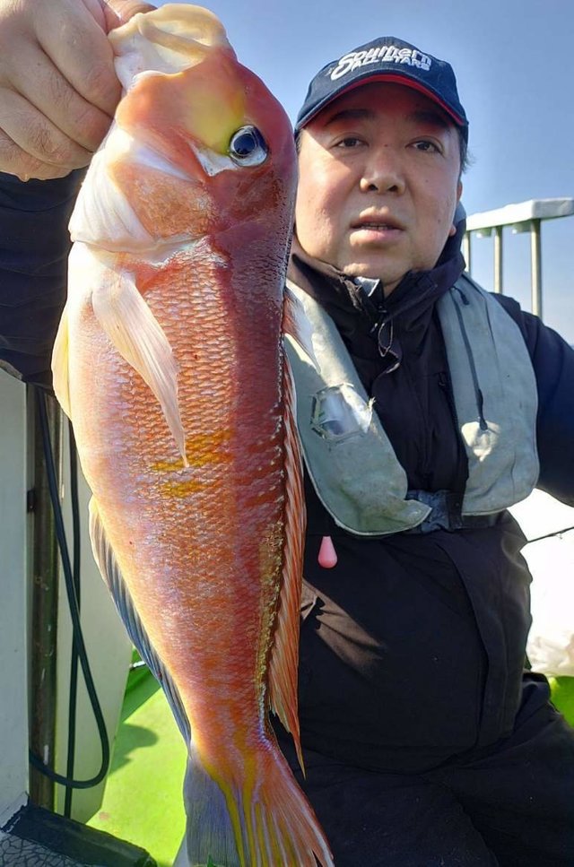 アマダイ(アカアマダイ)