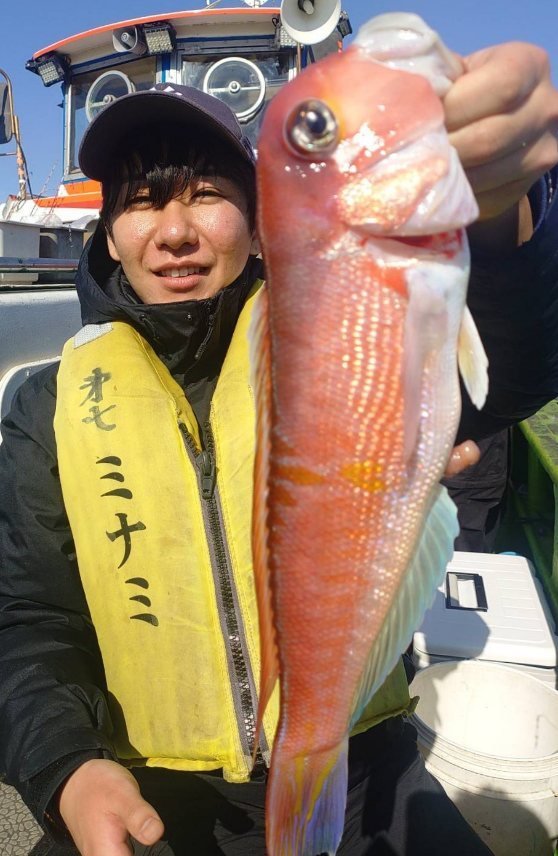 アマダイ(アカアマダイ)