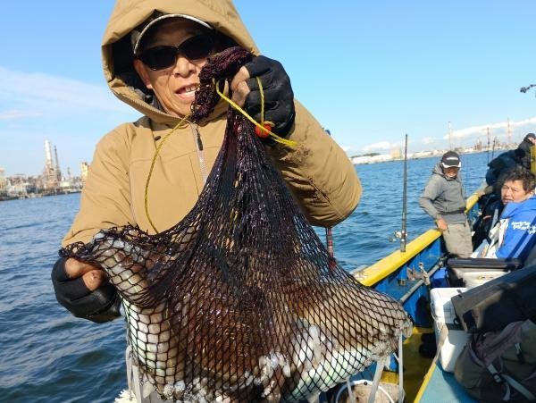 カミナリイカ・シリヤケイカ