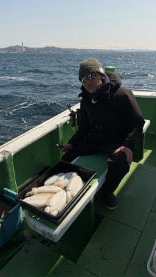 モンゴウイカ(カミナリイカ)