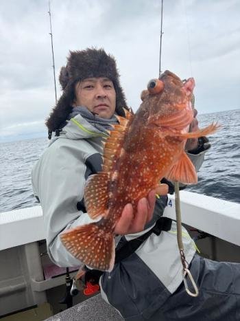 ウッカリカサゴ