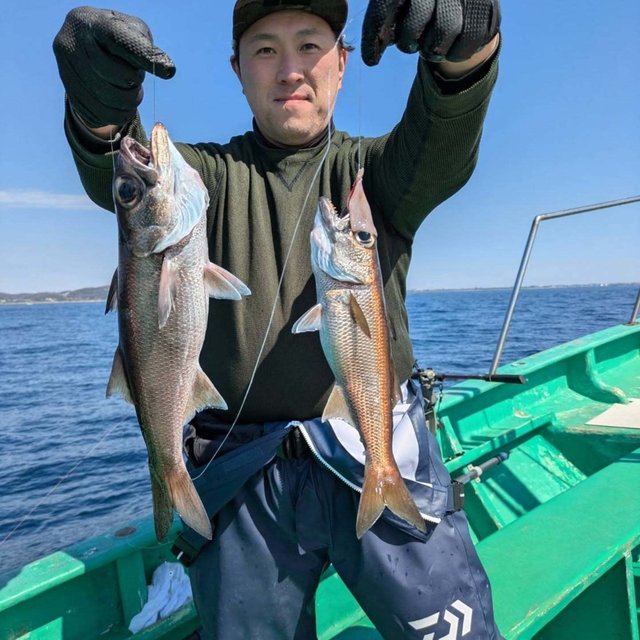 ムツ(クロムツ)