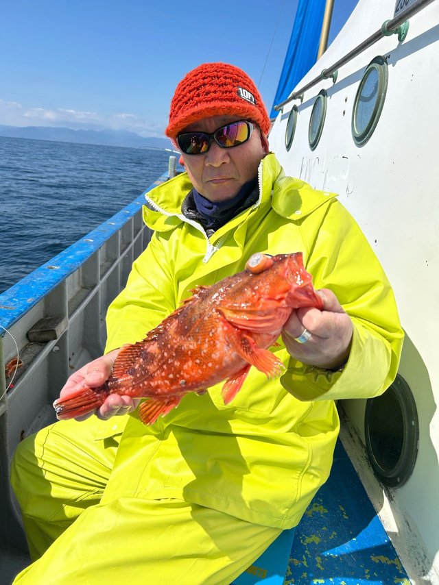 カンコ(ウッカリカサゴ)