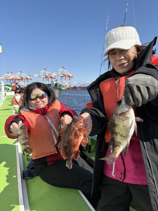 カサゴ・メバル