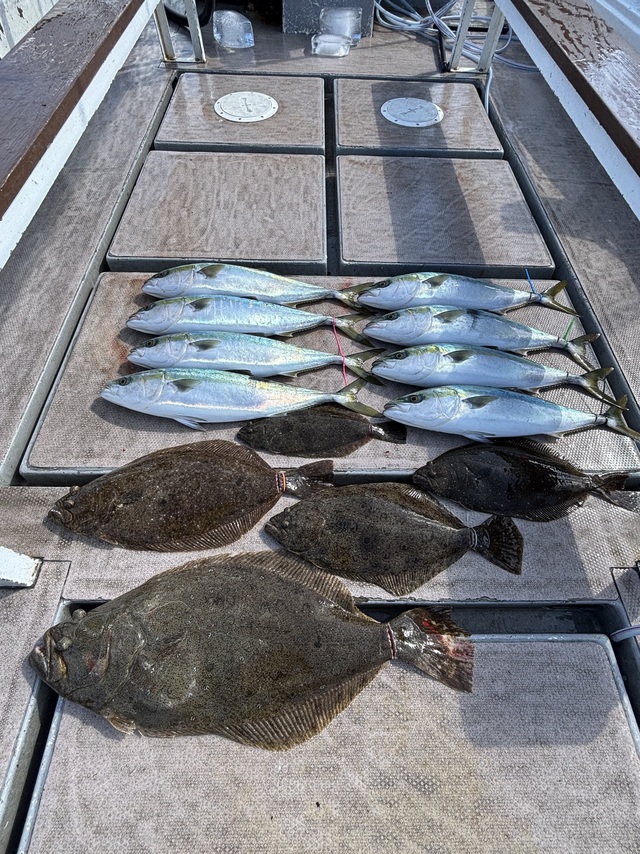 メジロ(ブリ)・ヒラメ