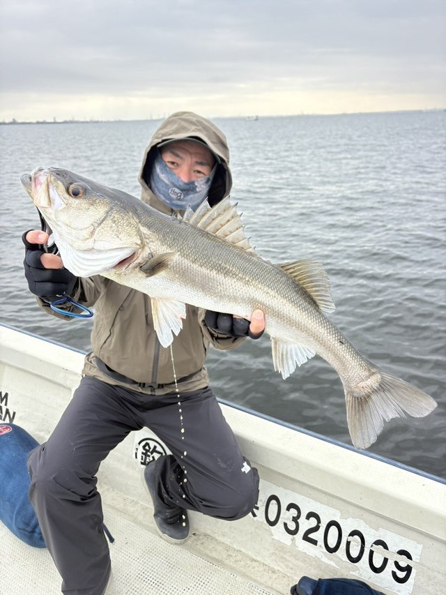 シーバス(スズキ)