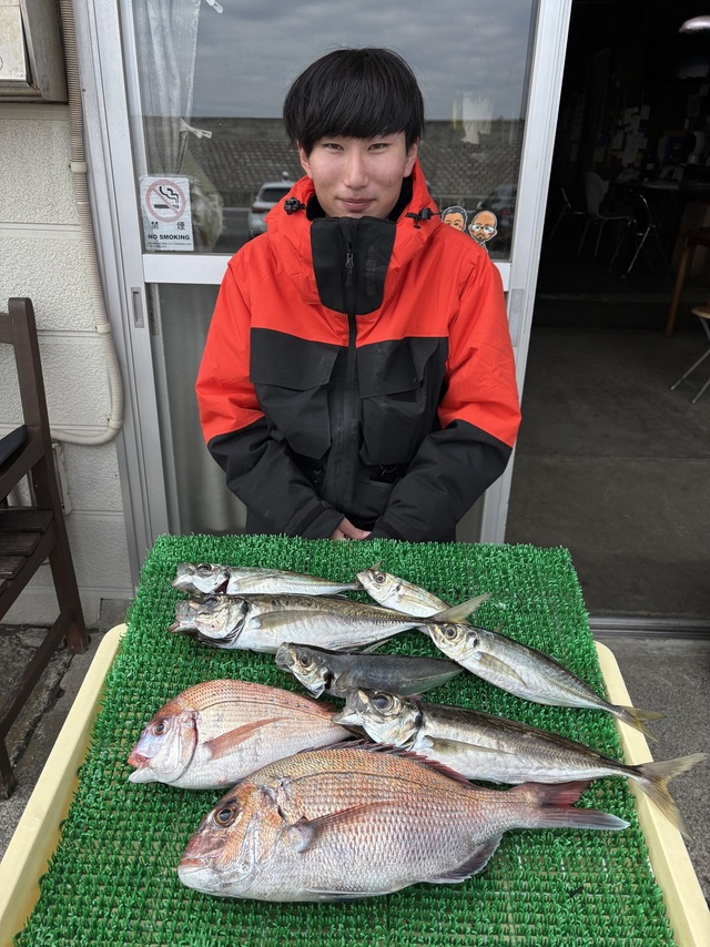 マダイ・アジ(マアジ)