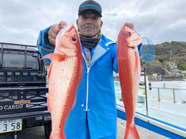 オナガダイ(ハマダイ)