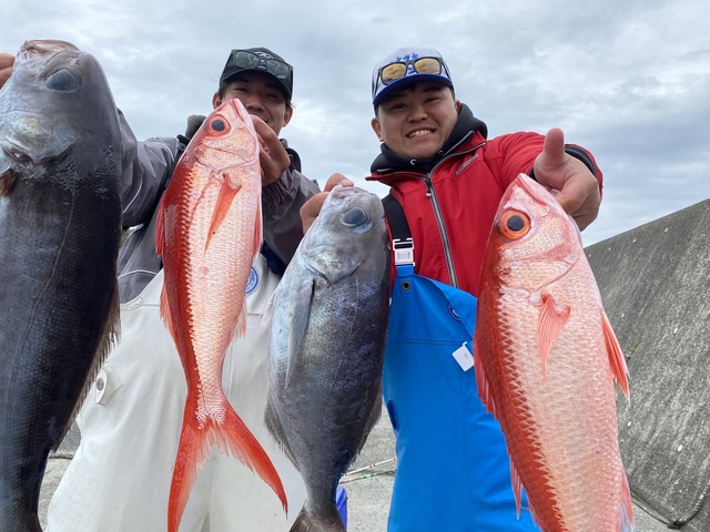 メダイ・オナガダイ(ハマダイ)