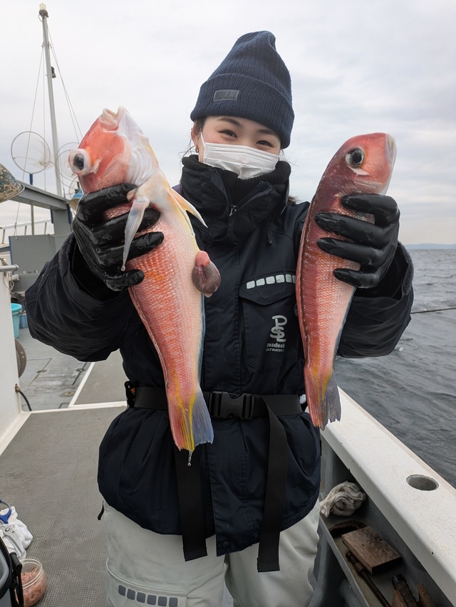 アマダイ(アカアマダイ)