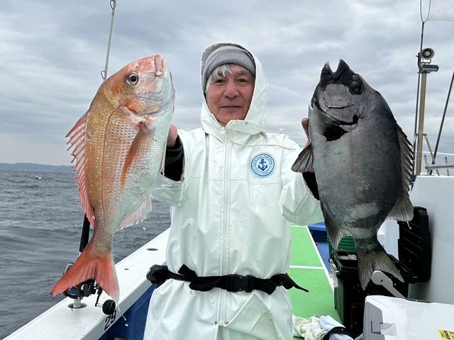 マダイ・イシダイ