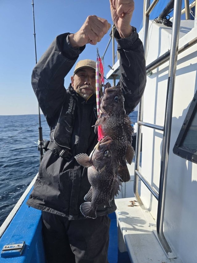 マゾイ(キツネメバル)