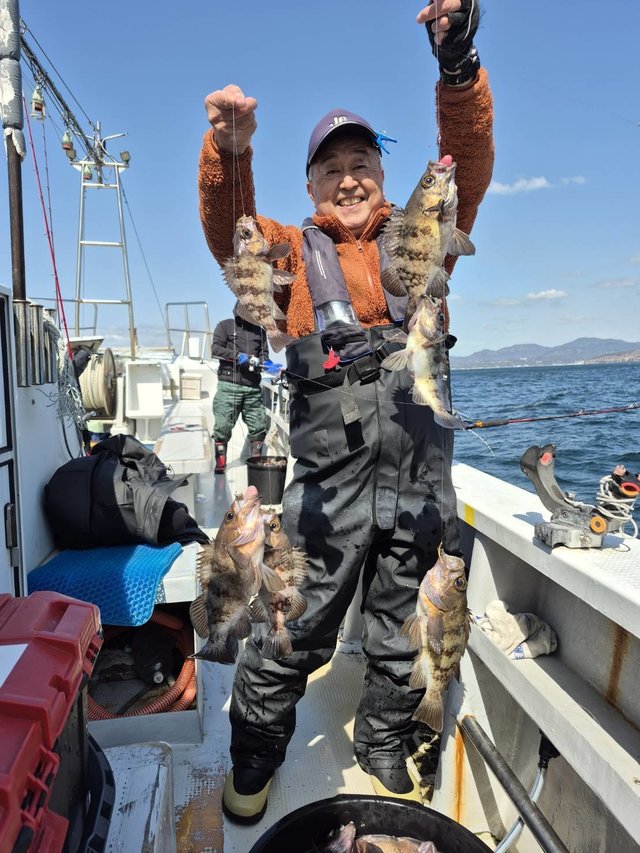 クロメバル(メバル)