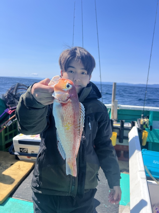 アマダイ(アカアマダイ)