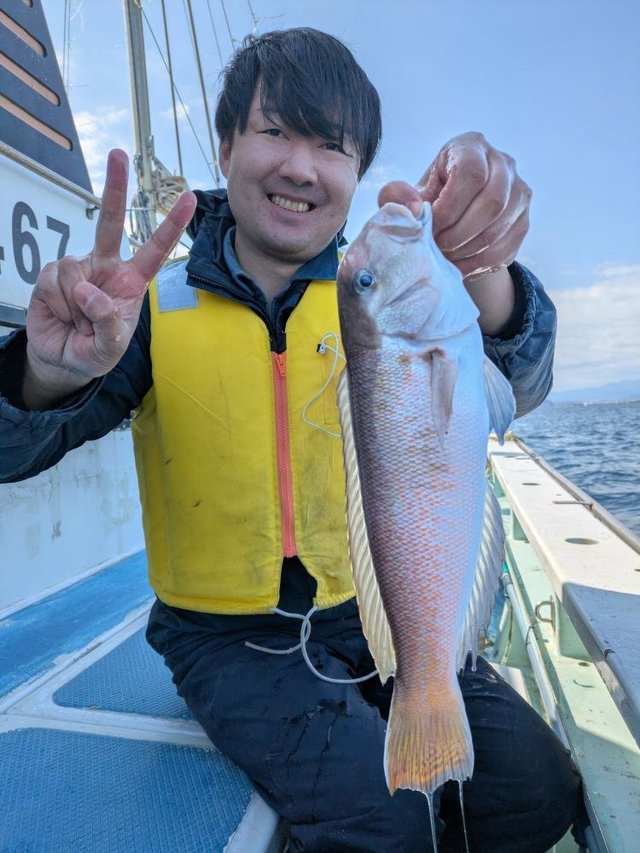 アマダイ(アカアマダイ)