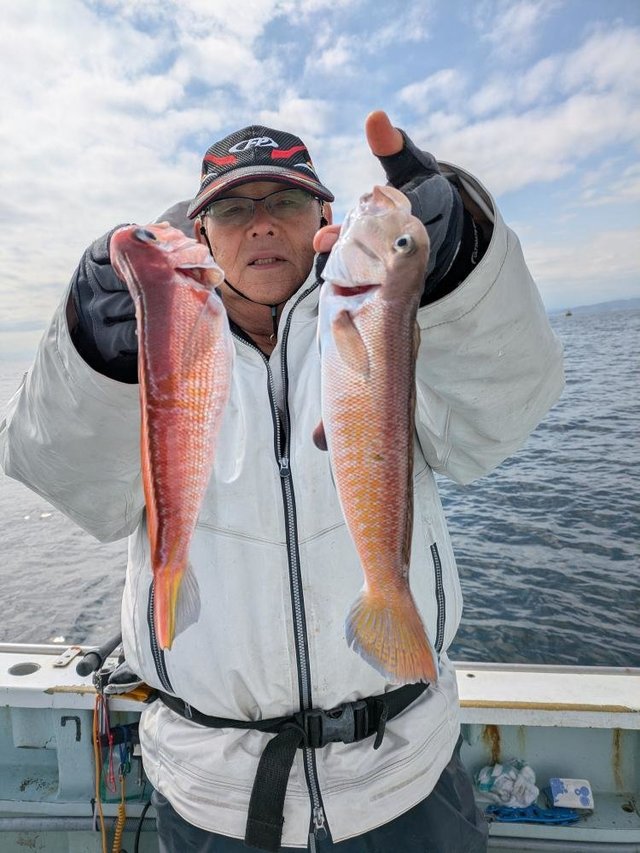 アマダイ(アカアマダイ)