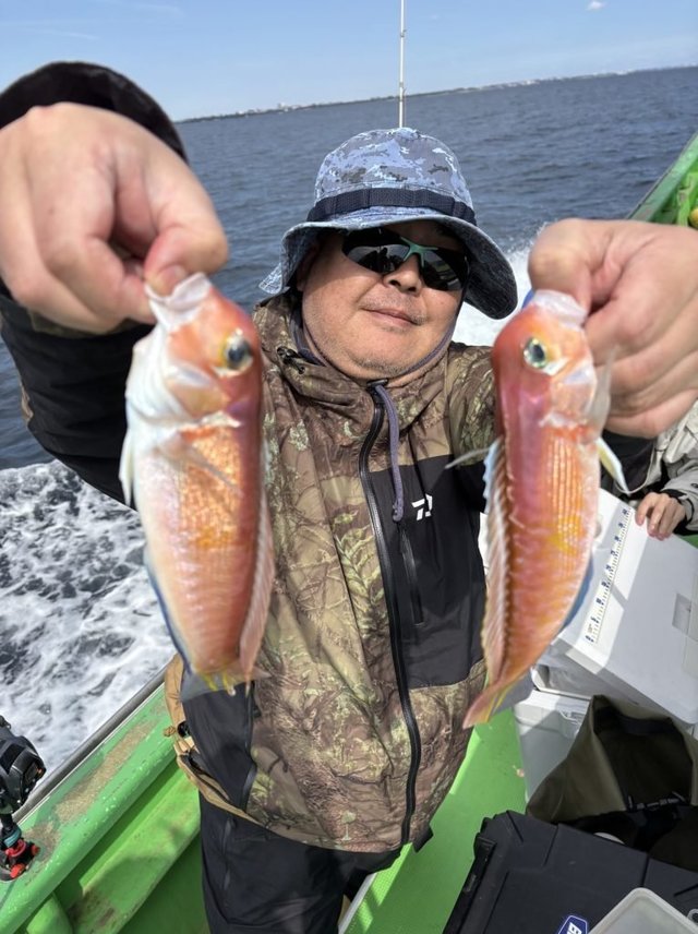 アマダイ(アカアマダイ)