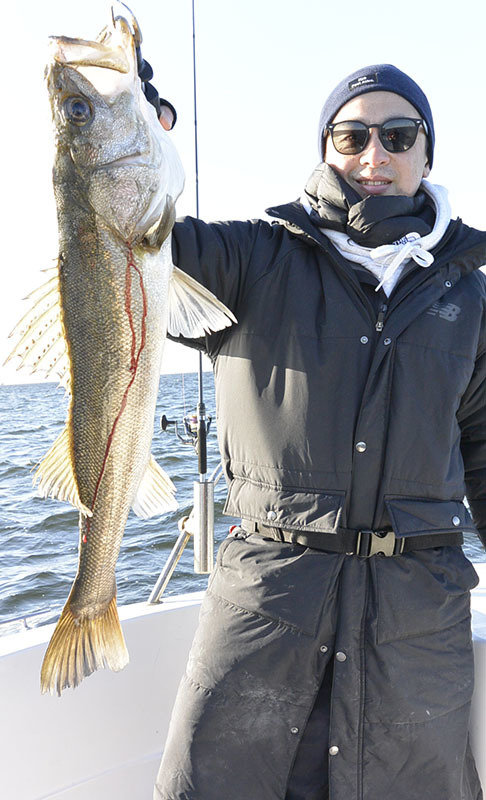 シーバス(スズキ)