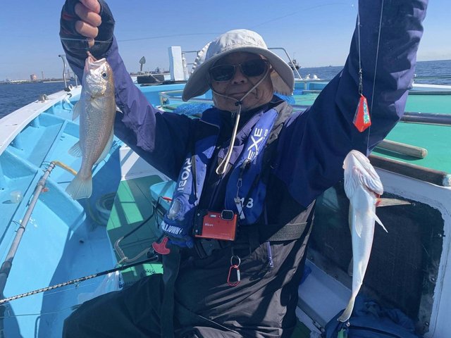 イシモチ(シログチ)