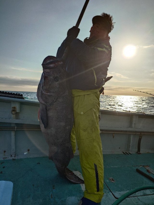 アブラボーズ(アブラボウズ)