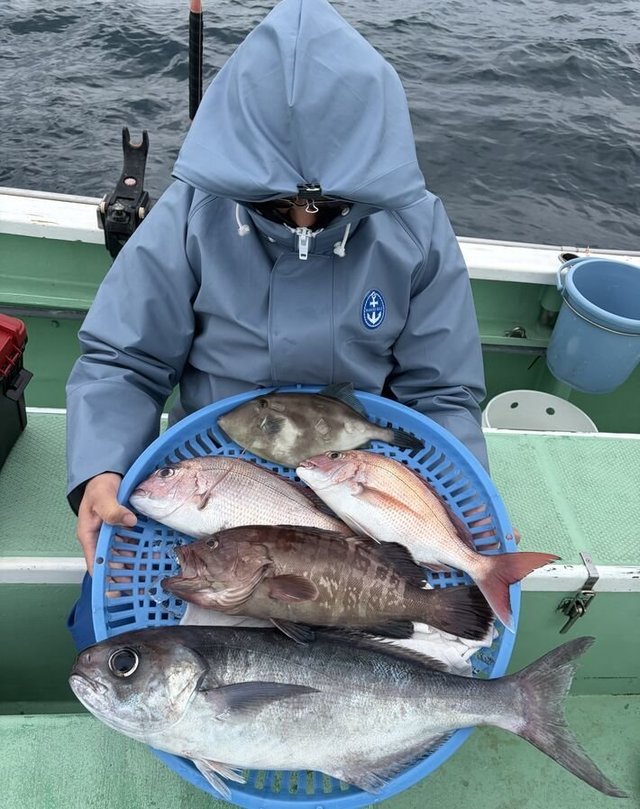 マダイ・マハタ・メダイ・ウマヅラ(ウマヅラハギ)