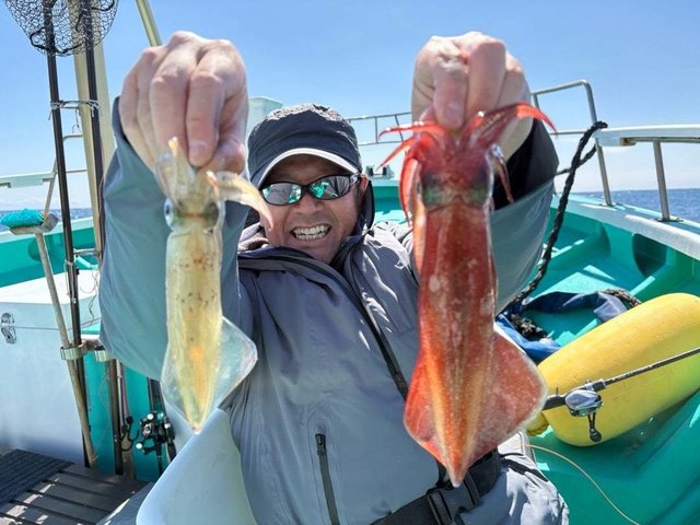 マルイカ(ケンサキイカ)