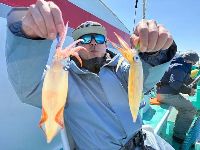 マルイカ(ケンサキイカ)