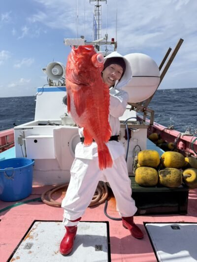 アコウ(アコウダイ)