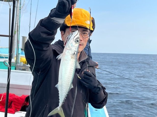 サバ(ゴマサバ)