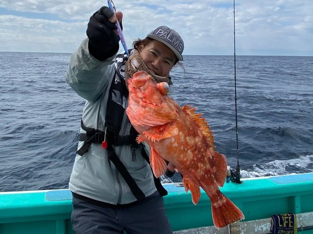 カンコ(ウッカリカサゴ)