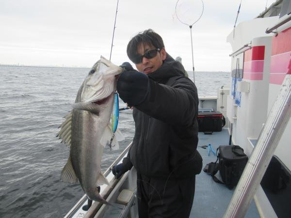 シーバス(スズキ)