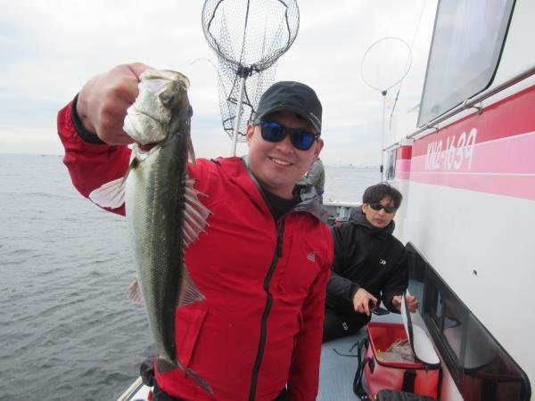 シーバス(スズキ)