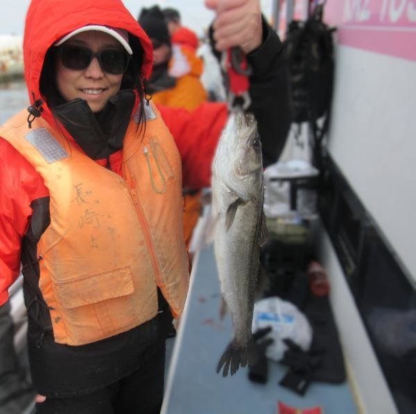 シーバス(スズキ)