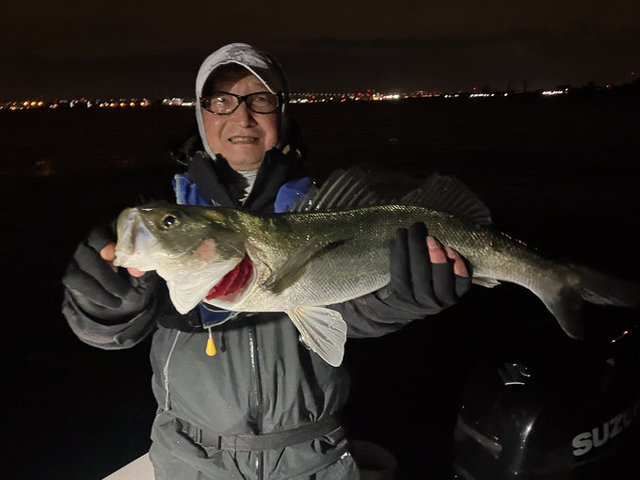 シーバス(スズキ)