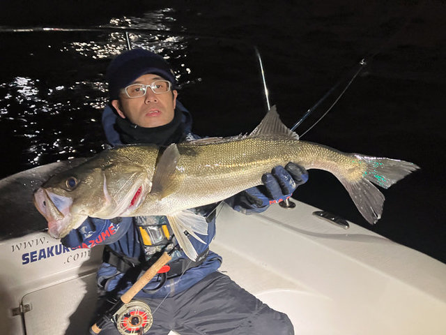 シーバス(スズキ)