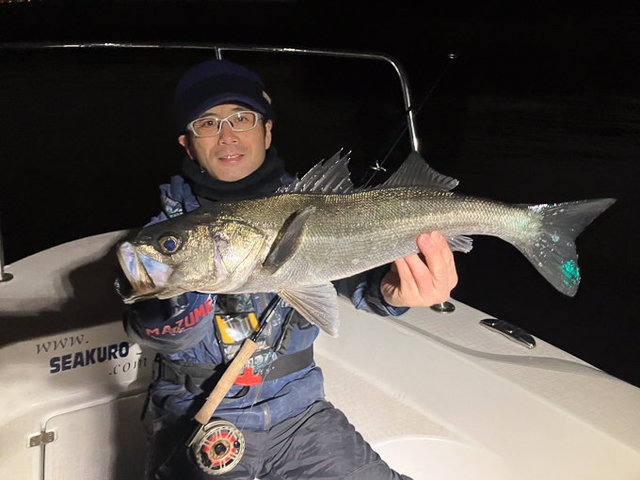 シーバス(スズキ)