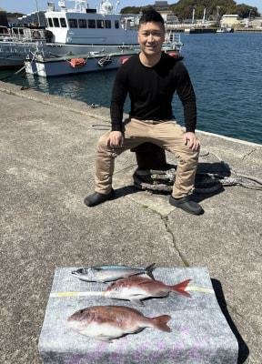 マダイ