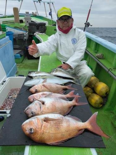 マダイ・アジ(マアジ)