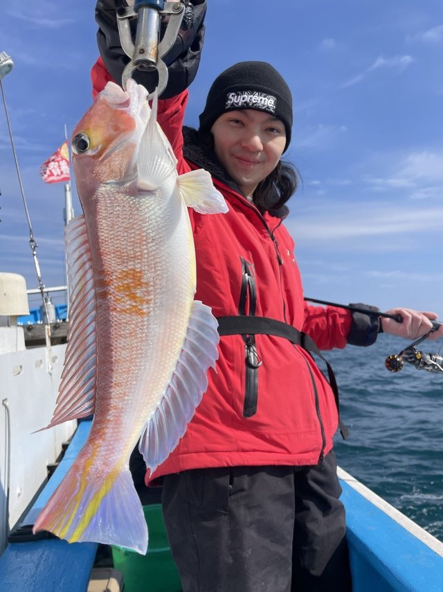 アマダイ(アカアマダイ)