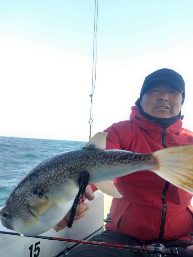 ショウサイフグ