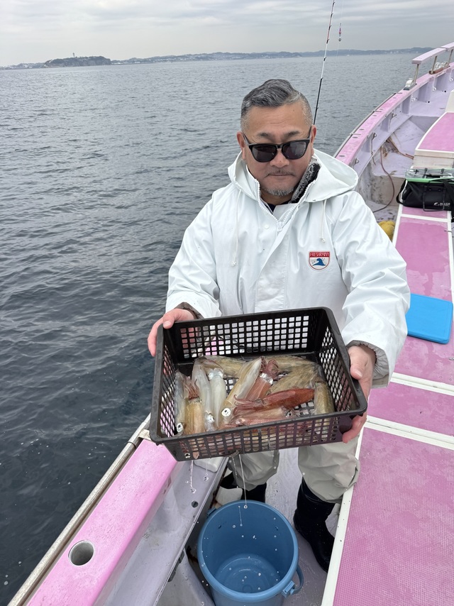 マルイカ(ケンサキイカ)