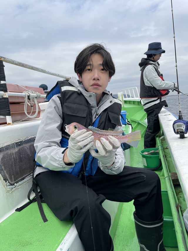 アマダイ(アカアマダイ)