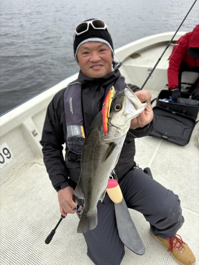 シーバス(スズキ)