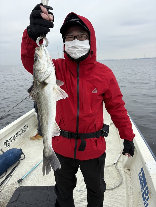 シーバス(スズキ)